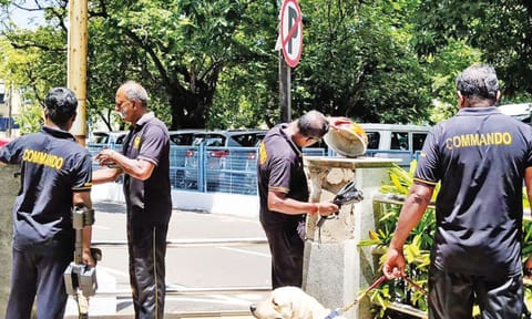 Personnel from the Bomb Disposal and Defusal Squad (BDDS) and police inspecting the Secretariat premises on Monday (Photo: Justin George)&nbsp;&nbsp;