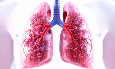 Antibody drug shows promise against lung cancer (IANS)&nbsp;