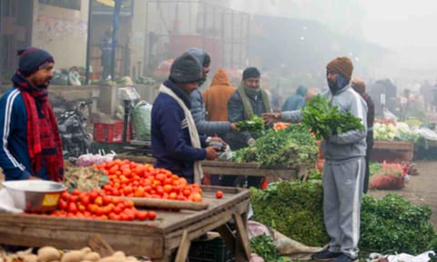 Vegetables (IANS)