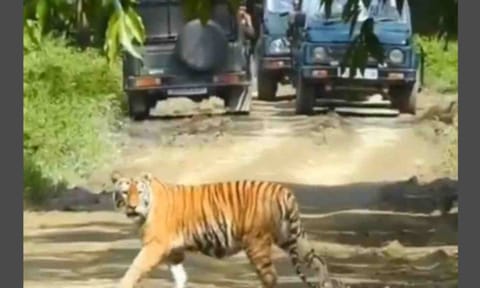 Cabinet nod for Rs 6,957 cr infrastructure project in Assam to boost eco-tourism, jobs: Minister