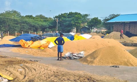 Representative image of piling paddy stock at a procurement centre 