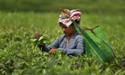 Representative Image (Photo: PTI)