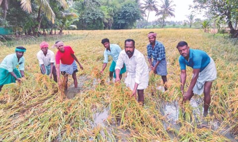 Farmers affected