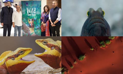 Wildlife of TN