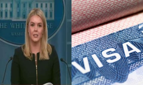 White House Press Secretary Karoline Leavitt on H-1B visa