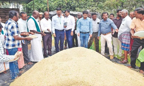 Central team inspecting moisture content of paddy in Tiruvarur