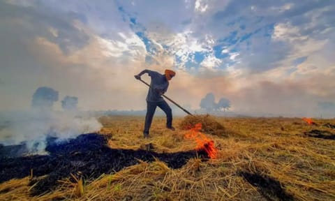 Representative Image (PTI)&nbsp;