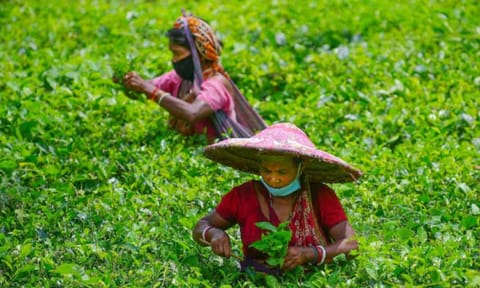 Representative Image (PTI)&nbsp;