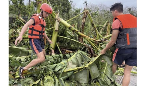 In this photo provided by the Philippine Coast Guard, members of the Philippine Coast Guard clear fallen trees in Virac, Catanduanes as Typhoon Fung-wong affects the country. (Photo: AP)