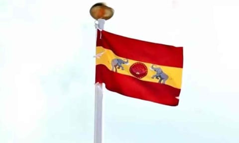 TVK Flag