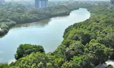 Chennai: Techie leaps into Adyar river due to work stress; rescued