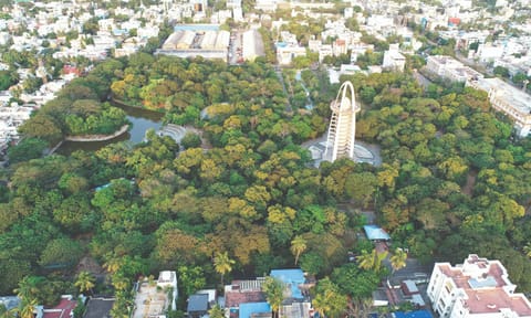 Forest Department will conduct a comprehensive tree census and green space assessment
