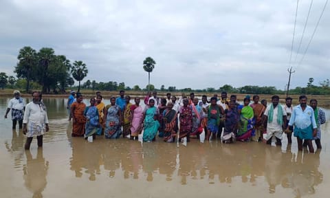 Farmers protesting in an inundated paddy field at Nagapattinam on Monday&nbsp;