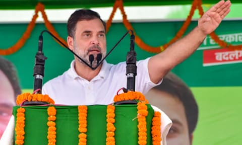 Rahul Gandhi (IANS)&nbsp;