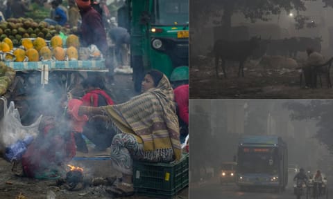 Cattle stand amid garbage during a cold and smoggy winter morning, in New Delhi, Sunday, Dec. 14, 2025. (PTI)&nbsp;&nbsp;