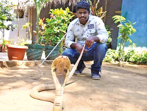 An Irula member