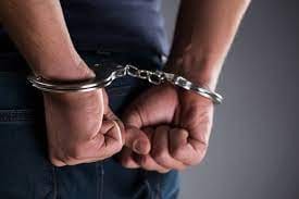 Sand boa, six rose ringed parakeets recovered from two men in Ramnad