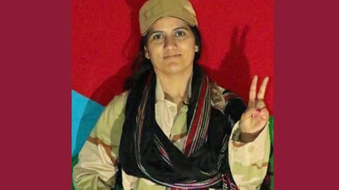 Shari Baloch.