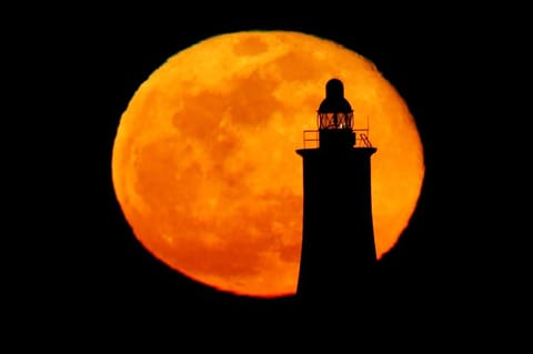 The pink supermoon