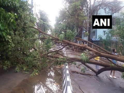 Death toll rises to 14 as heavy rain accompanied by storm, lightening lashes Assam