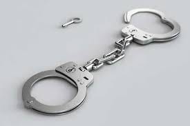 Forest dept arrest 2 while cooking poached wild boar in Coimbatore