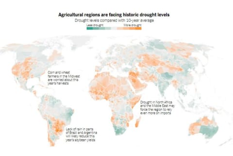 Putin’s war has led to a global food crisis