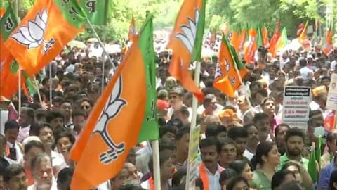 BJP workers