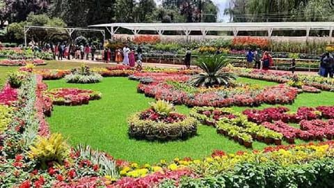 Representative image of a view of Ooty flower show