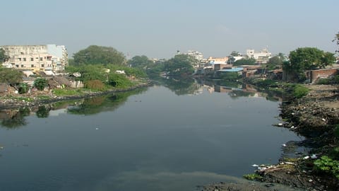 River Cooum