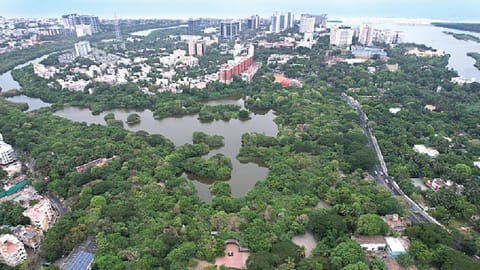 World Environment Day: In search of a green canopy
