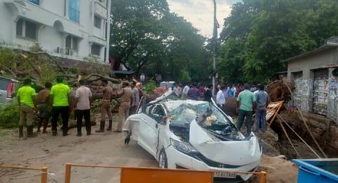 A tree uprooted and fell on the car in in KK Nagar