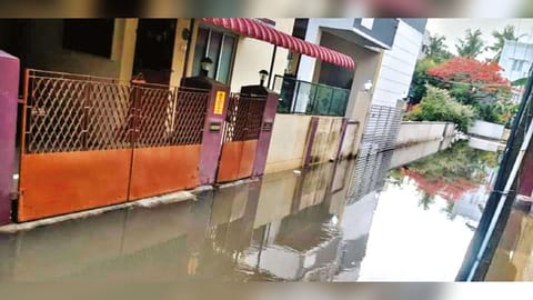 Water stagnating on Manimegalai Street in Chitlappakkam on Monday