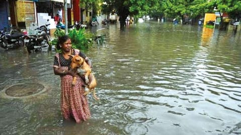 File photo of a flooded road in T Nagar (2021)