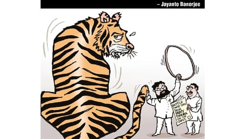 Toon of the day