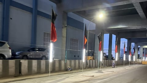 DMK party flags