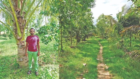 Mansa Organic Meadows in Damal village ; (inset) Bharath M