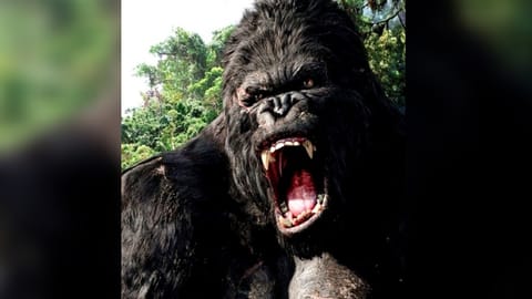 King Kong