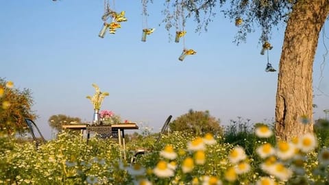An abode of natural farming and mindful living