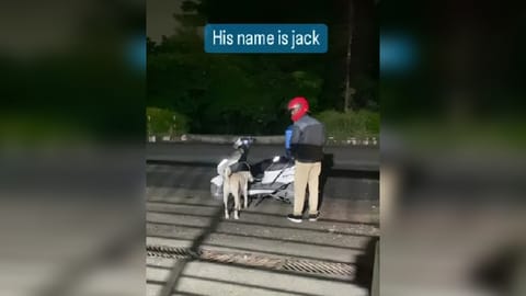 Screengrab from the video