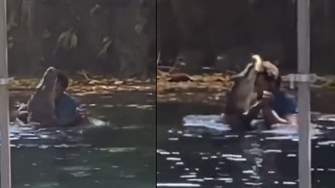 Screengrab of the video