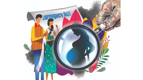 Advocates noted that the local healthcare infrastructure must be developed and well-equipped to support surrogacy-related cases effectively.