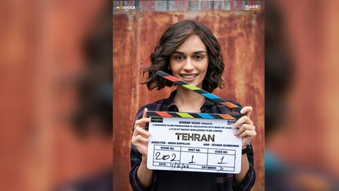 Manushi Chillar