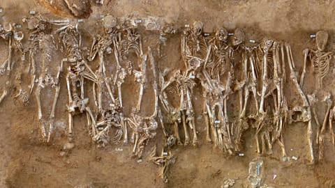 The new study, an analysis of degraded DNA from 54 corpses found in Himera