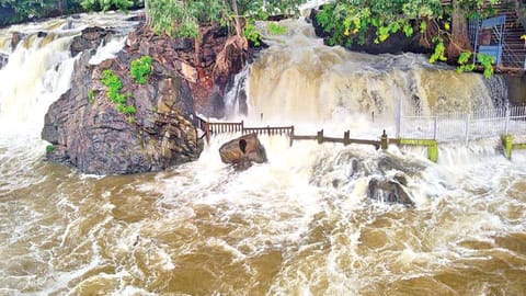 The flooded Hogenakkal falls on Tuesday