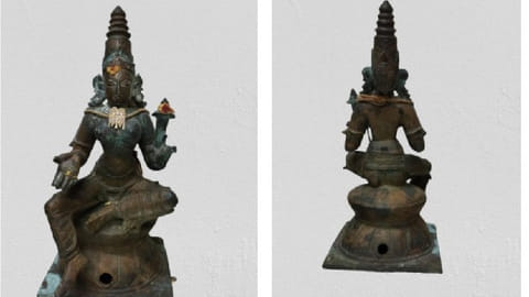 Idols seized by the wing