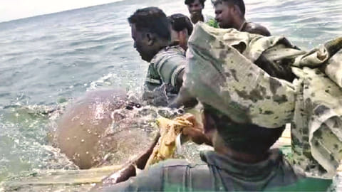 Fishermen releasing a dugong, a rare sea cow, into sea off Narippaiyur of Thoothukudi Range