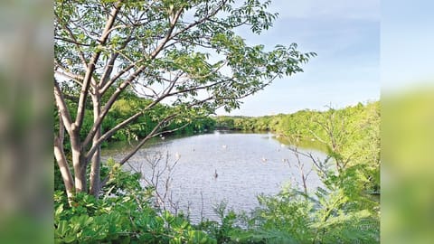 Tholkappia Poonga
