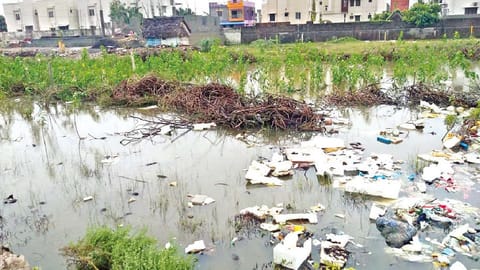 Garbage floating in a lake after the recent rains.