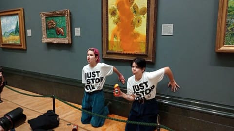 Soup thrown at Van Gogh's painting
