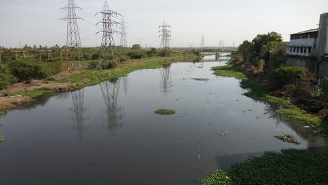 Buckingham canal